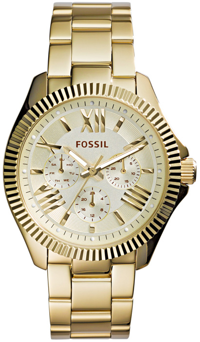 Fossil CECILE AM4570