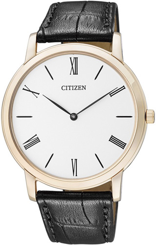 Citizen AR1113-04B Leather