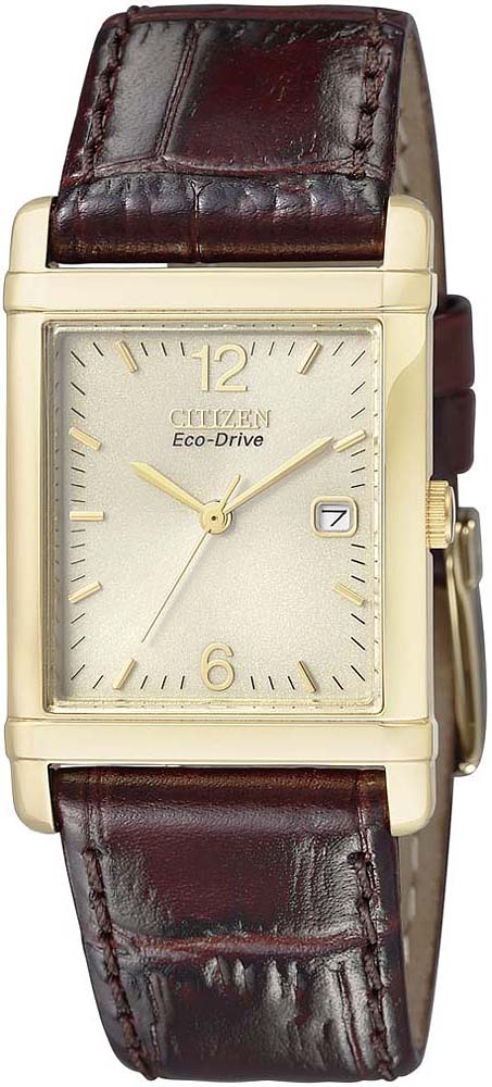 Citizen BW0202-03P