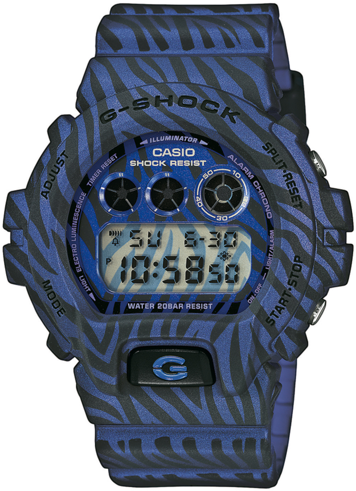 G-SHOCK DW-6900ZB-2ER