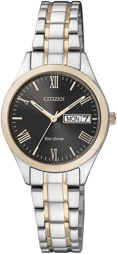 Citizen EW3197-89EE
