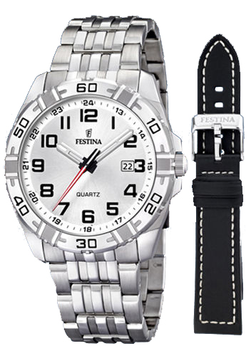 Festina Classic F16495-1