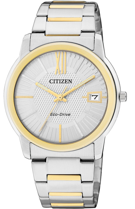 Citizen FE6014-59A