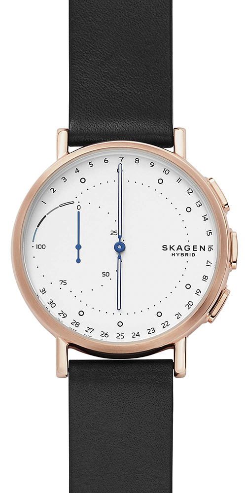 Skagen Smartwatch Skagen Connected SKT1112