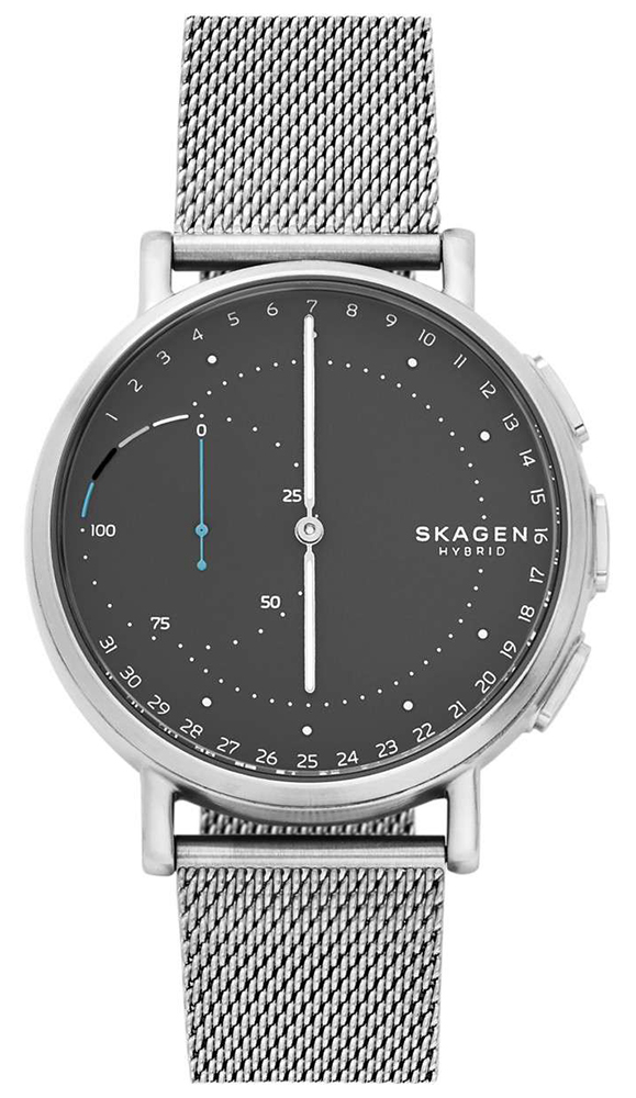 Skagen Smartwatch Skagen Connected SKT1113