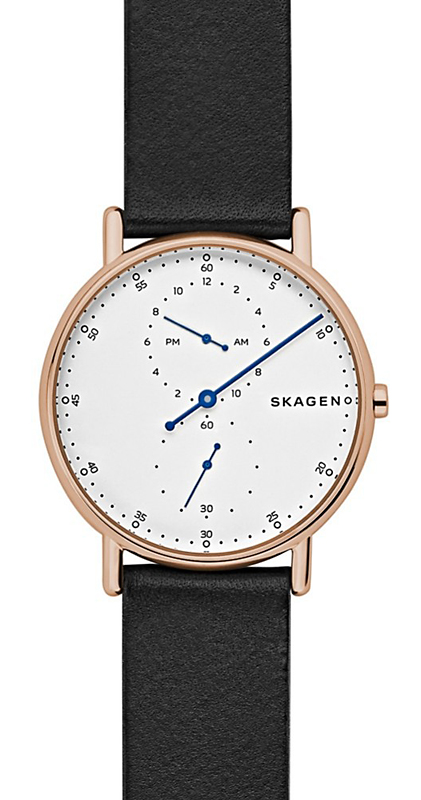 Skagen Signatur SKW6390