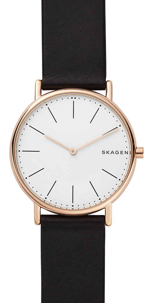 Skagen SKW6430