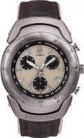 Timex T47842