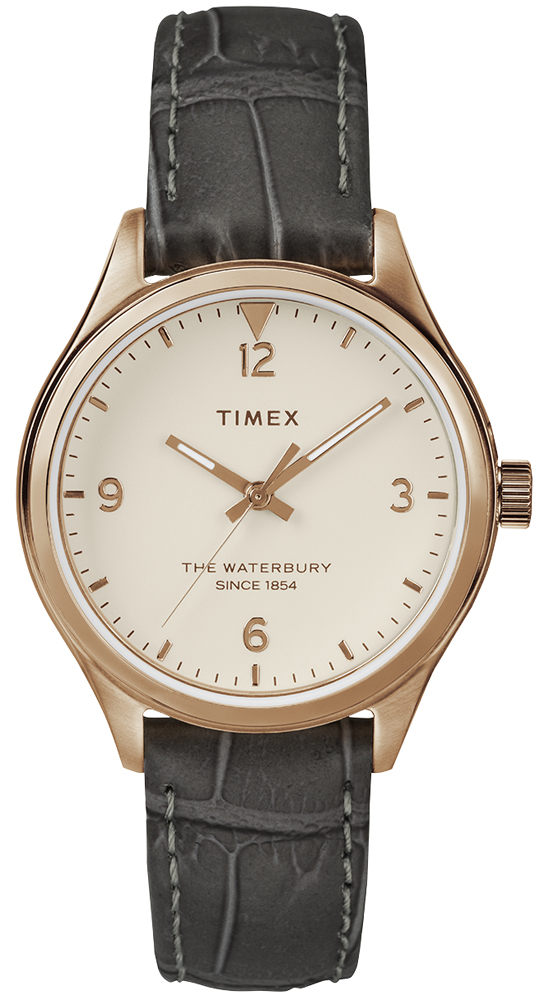 Timex The Waterbury TW2R69600