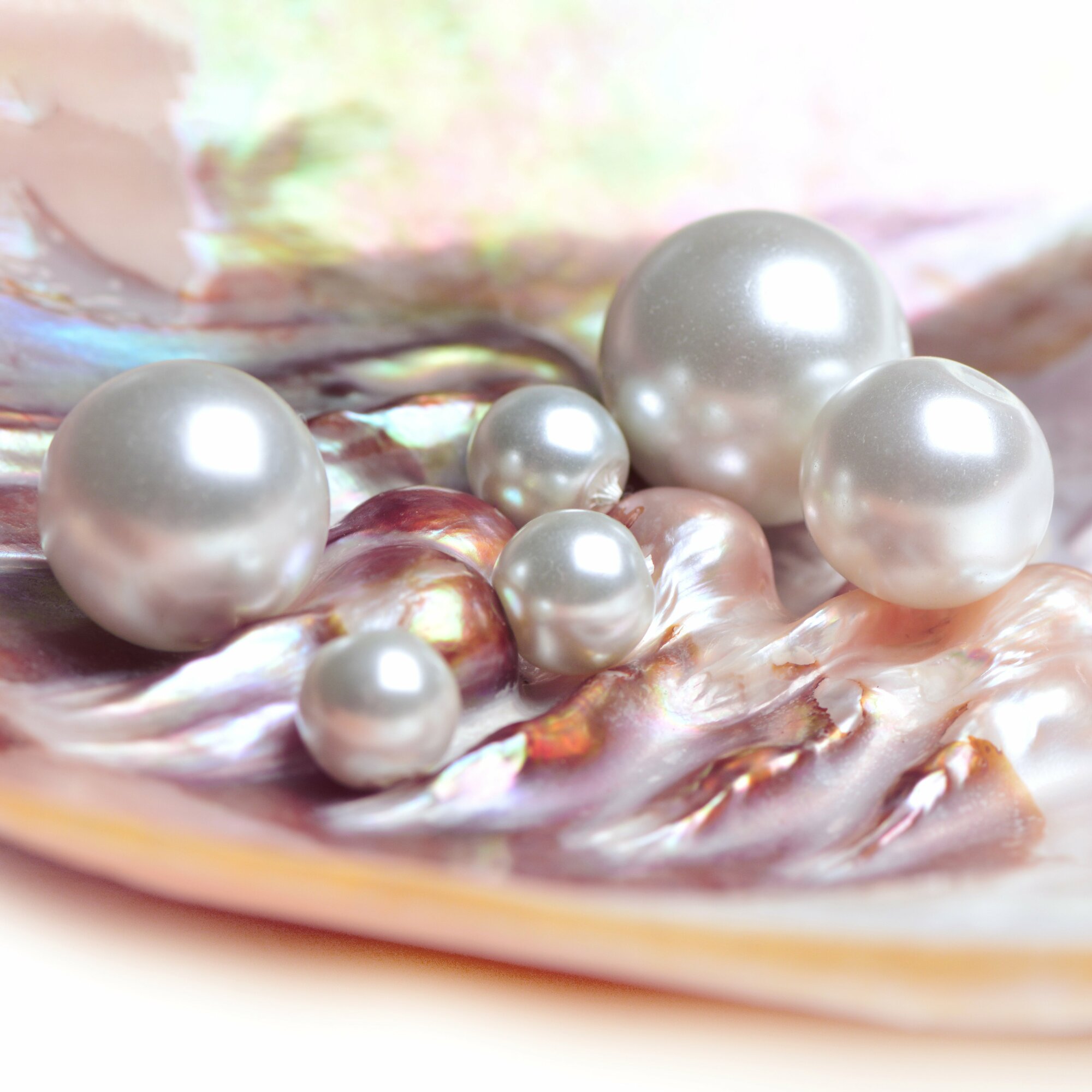 Masa perłowa dla zegarka Tissot T063.610.36.116.01