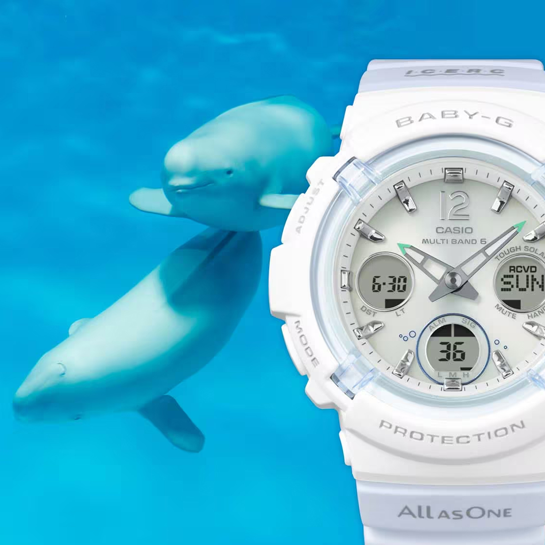 Funkcjonalny zegarek Baby-G Casio x I.C.E.R.C. Love the Sea and the Earth Special Edition damski BGA-2800K-7AER 