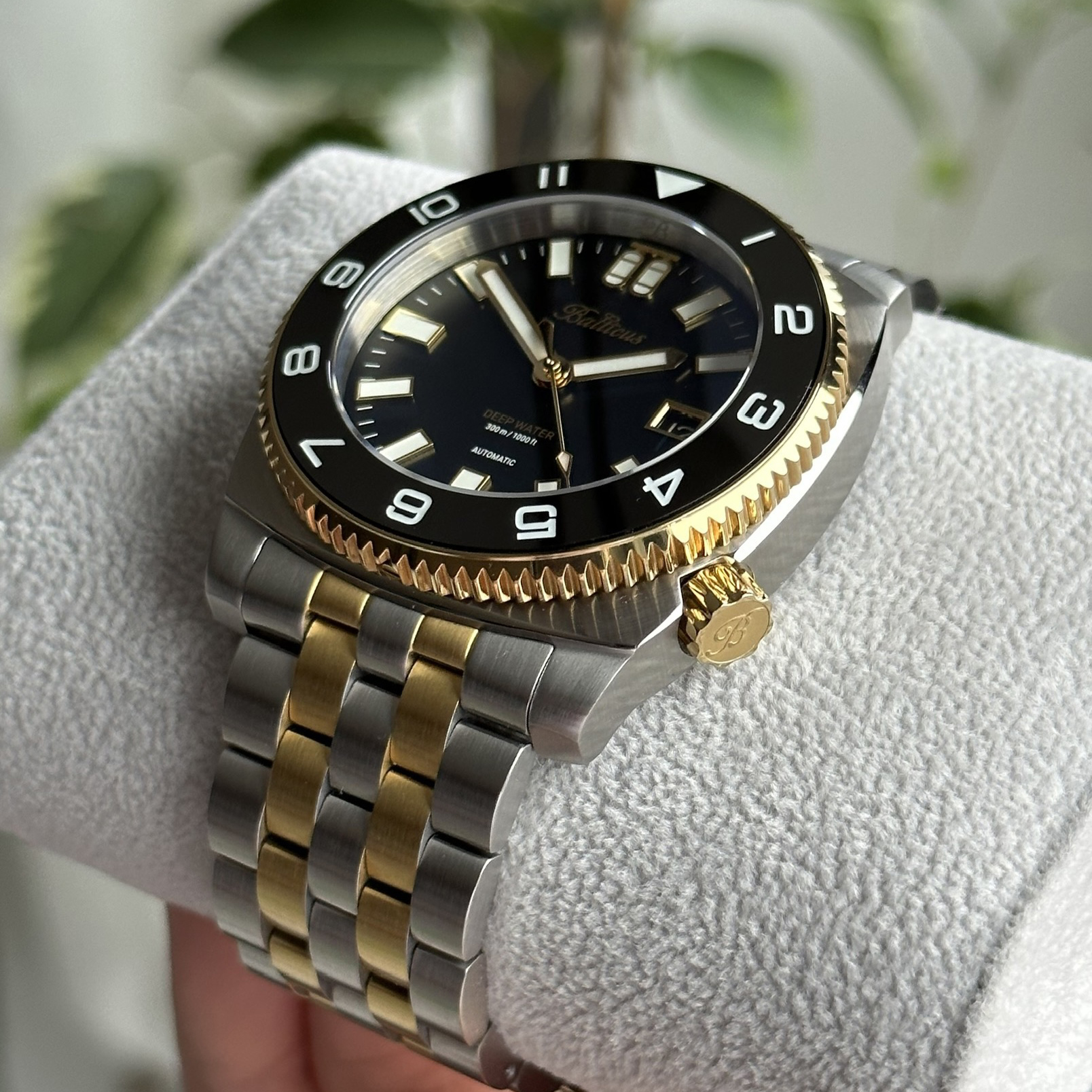 Najważniejsze cechy Deep Water Bicolor 