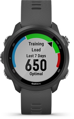 OBCIĄŻENIE TRENINGOWE dla zegarka Garmin 010-02120-32