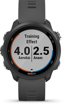 TRAINING EFFECT dla zegarka Garmin 010-02120-32