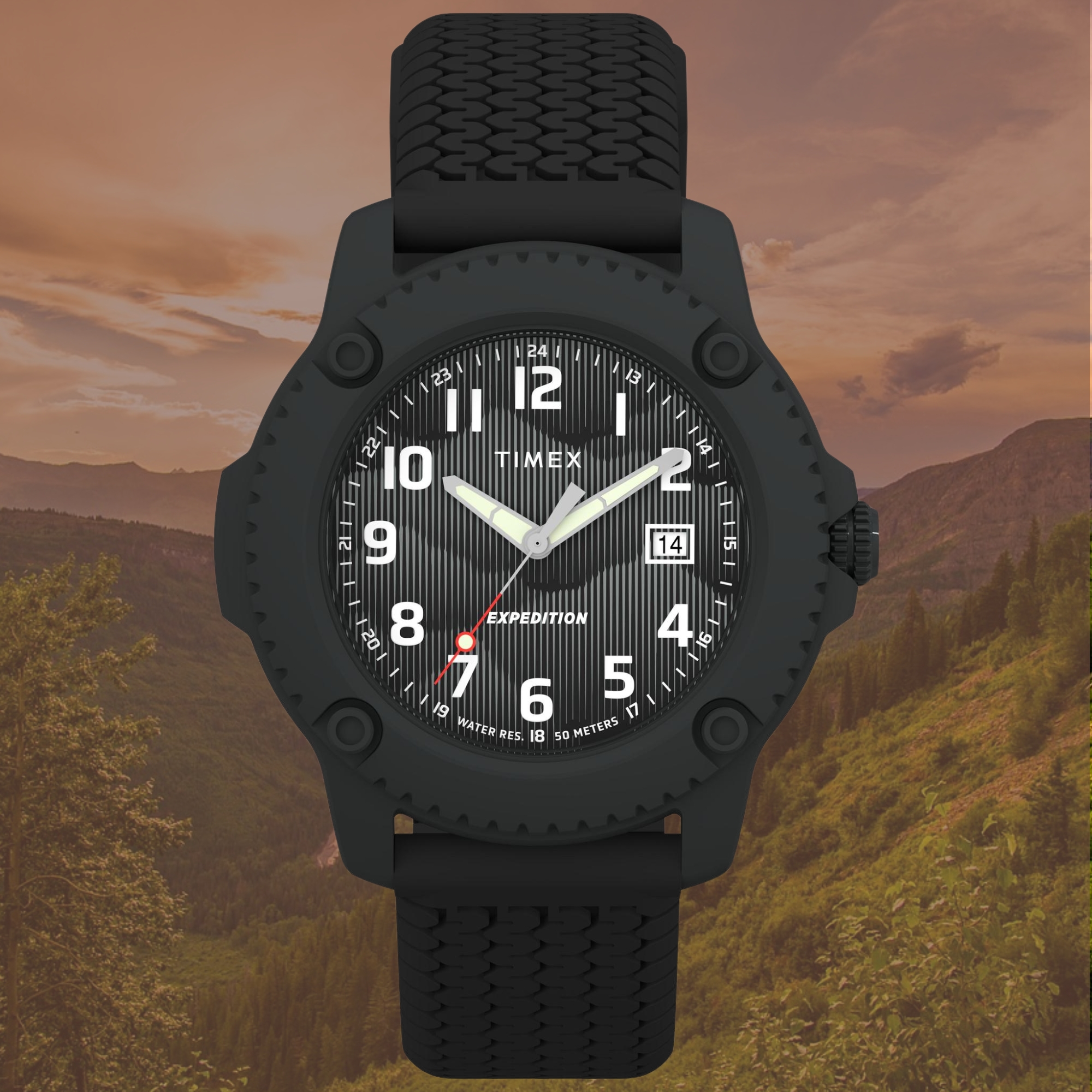 Timex Expedition® Timberline TW4B34800