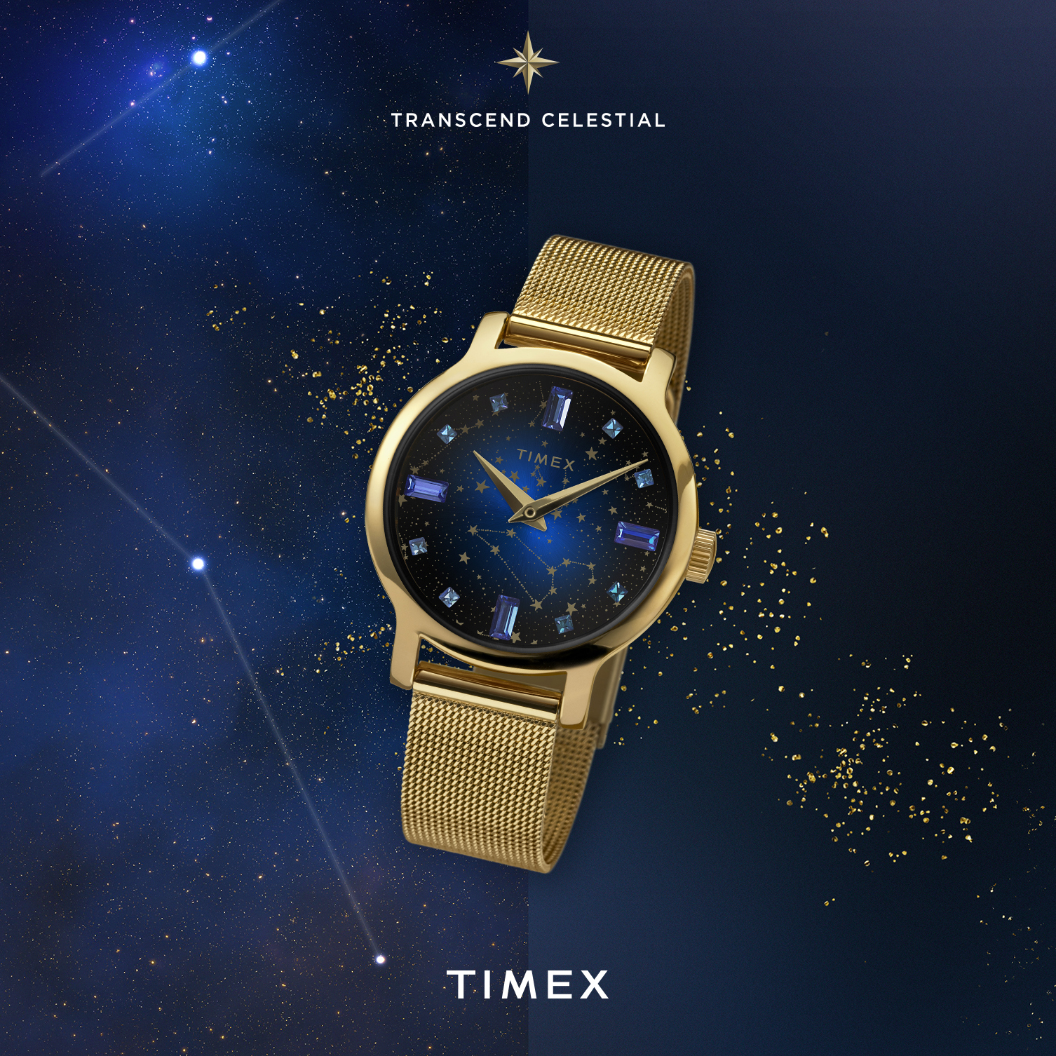 Timex zegarek TW2V51900