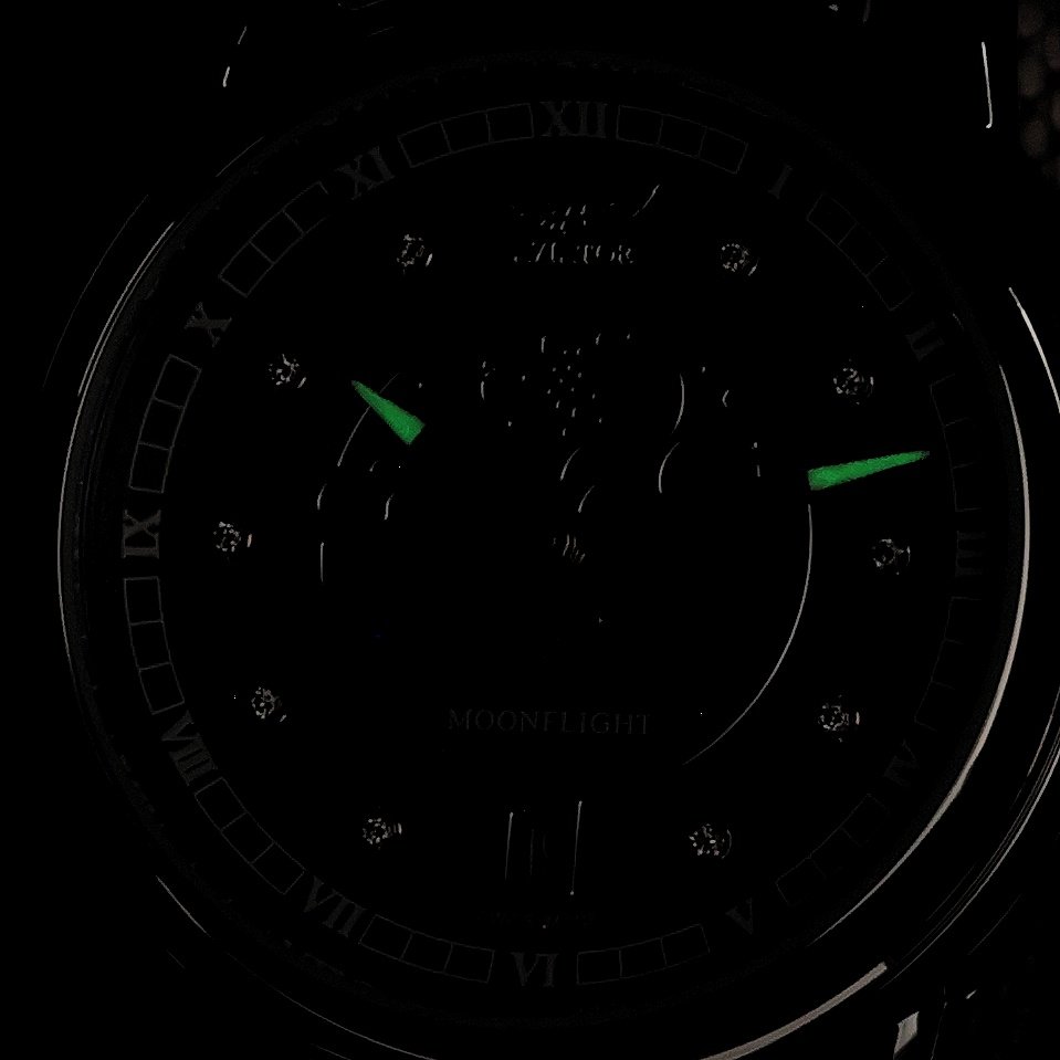 Aviator V13303815 Douglas Moonflight Black Diamonds Douglas Moonflight klasyczny zegarek srebrny - miniatura 5