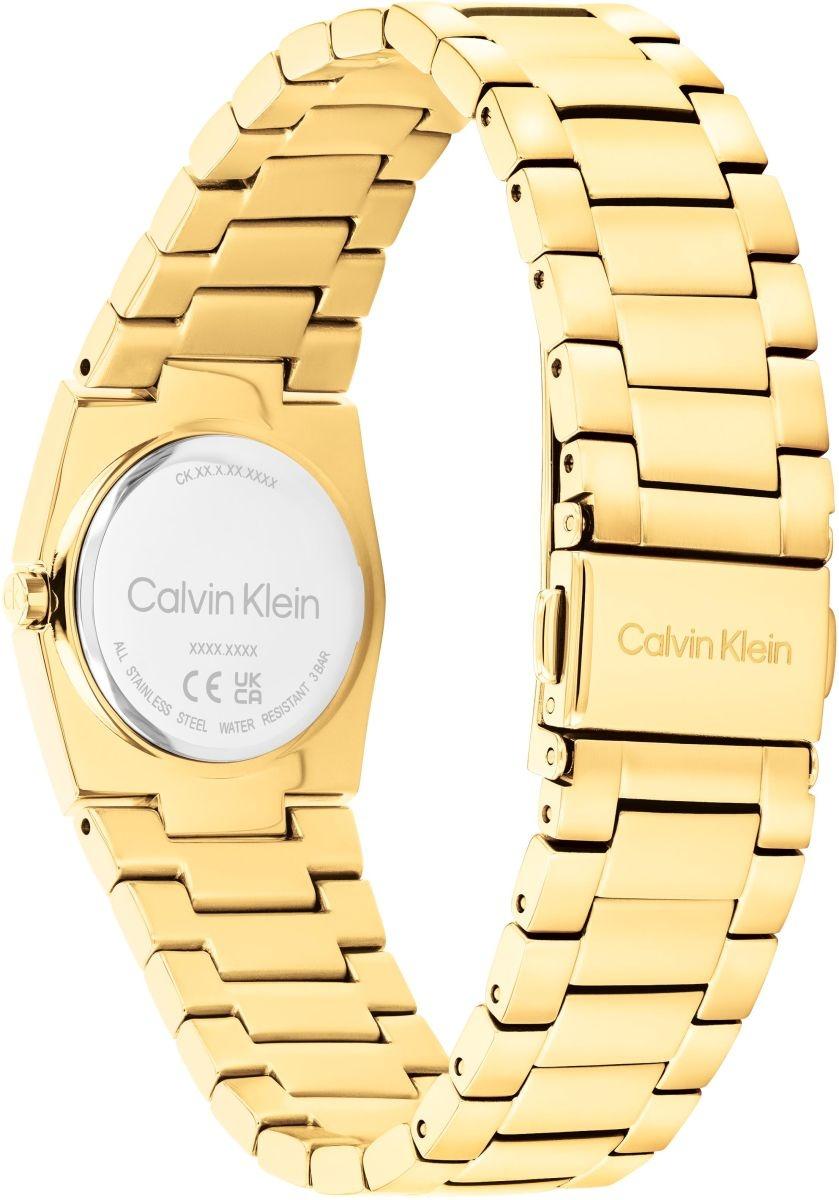 Calvin Klein 25100127 damski zegarek Calvin Klein bransoleta
