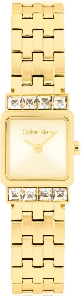 Calvin Klein 25100162