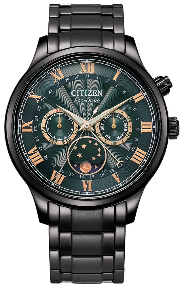Citizen Eco-Drive Multifunction Moonphase AP1055-87X
