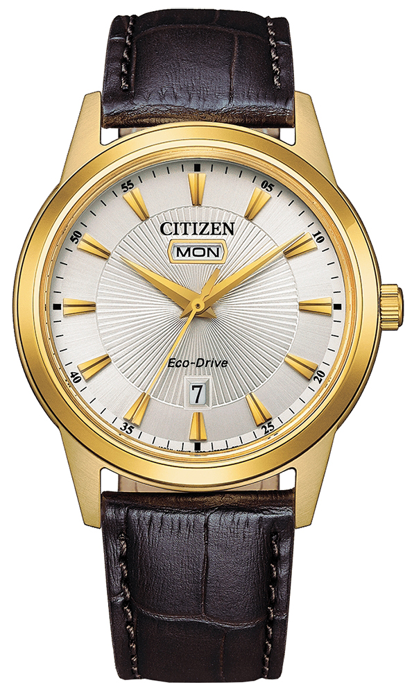 Citizen Eco-Drive Leather AW0102-13A