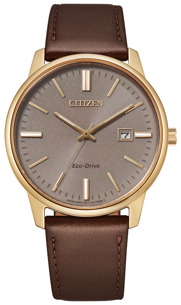 Citizen Eco-Drive Classic BM7523-12X