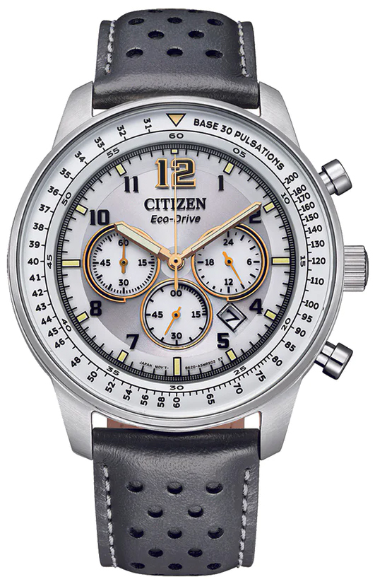 Citizen Future Force  CA4500-24H