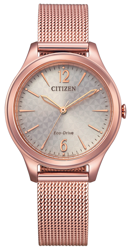 Citizen Lady Eco-Drive Classic EM0508-80X