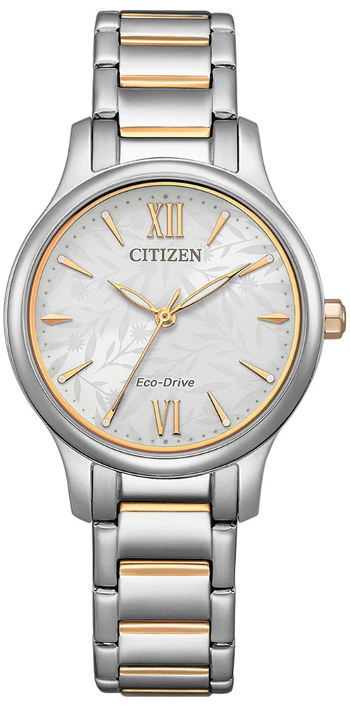 Citizen EM0895-73A
