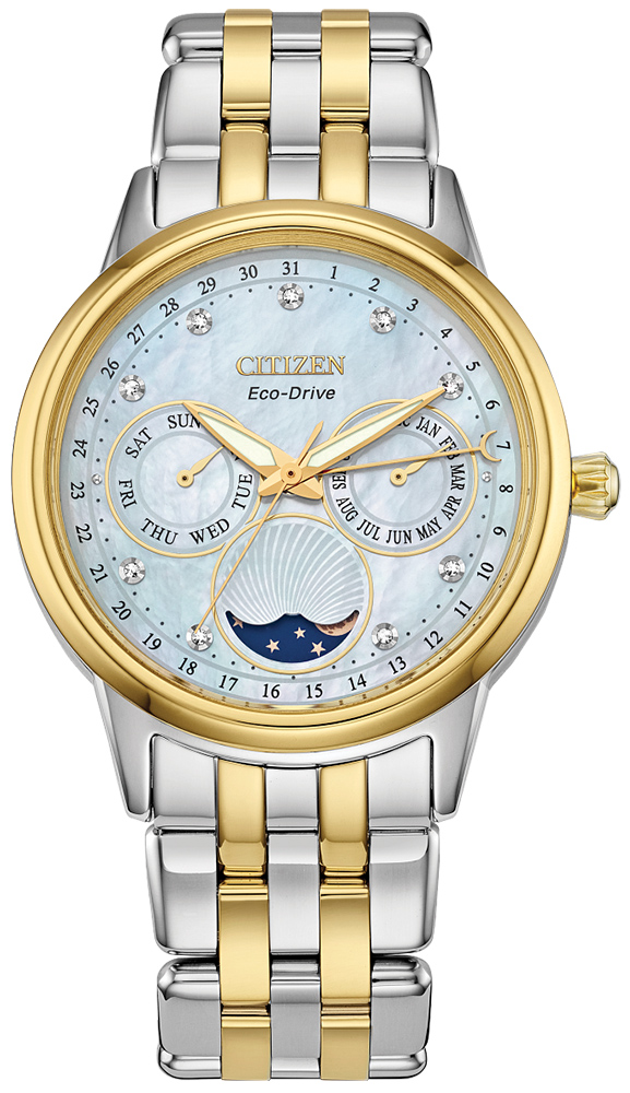 Citizen CALENDRIER FD0004-51D