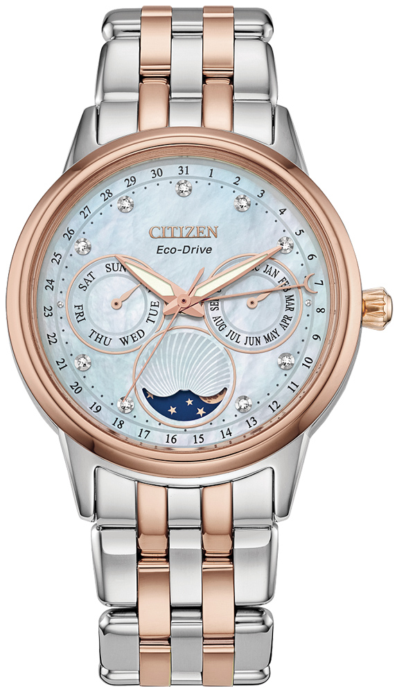Citizen CALENDRIER FD0006-56D