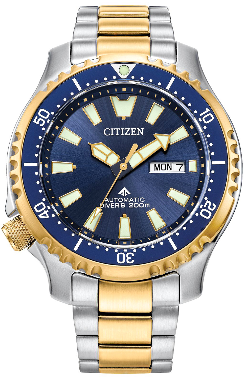 Citizen PROMASTER DIVER AUTOMATIC NY0154-51L