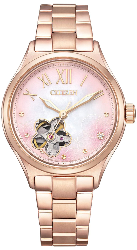 Citizen Mechanical Open Heart PC1017-70Y