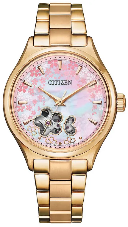 Citizen PC1019-66Y - zdjęcie 1