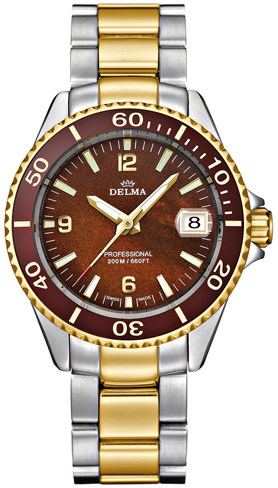 Delma Santiago Ladies Quartz 41702.547.1.564