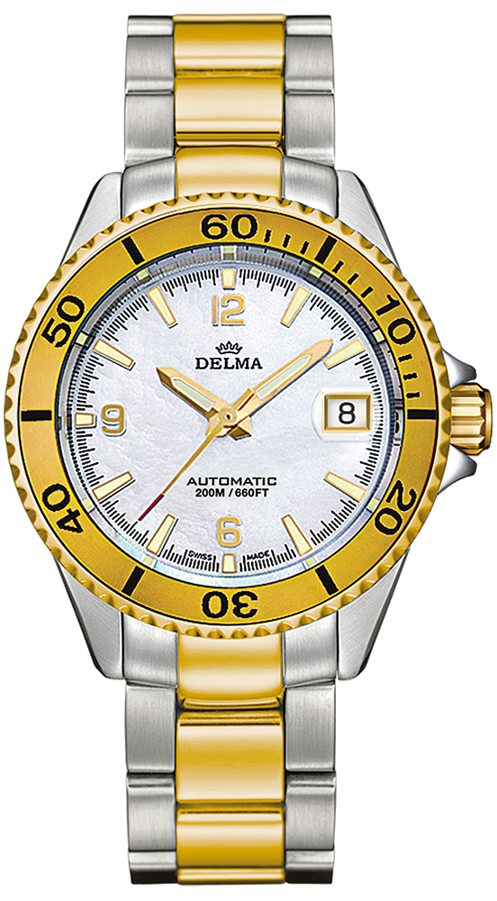 Delma Santiago Ladies Automatic 52702.545.1.519