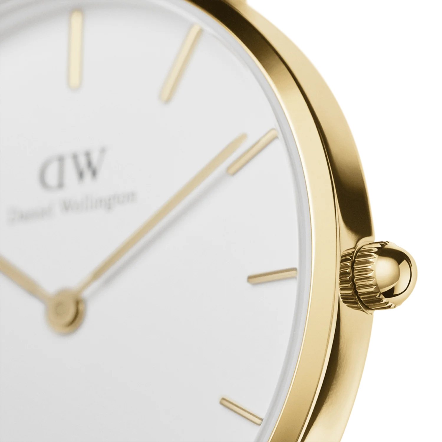 DW00100549 zegarek damski Petite - miniatura 2