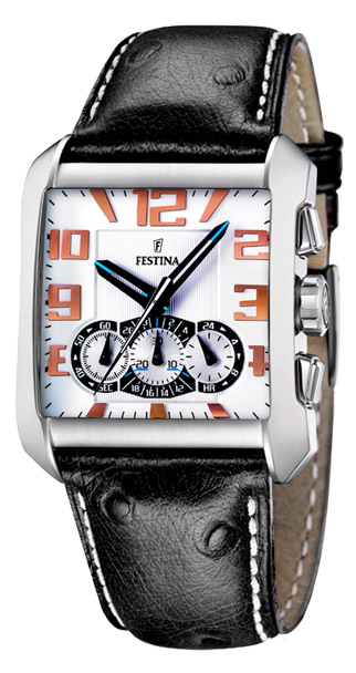 Festina F16294-1