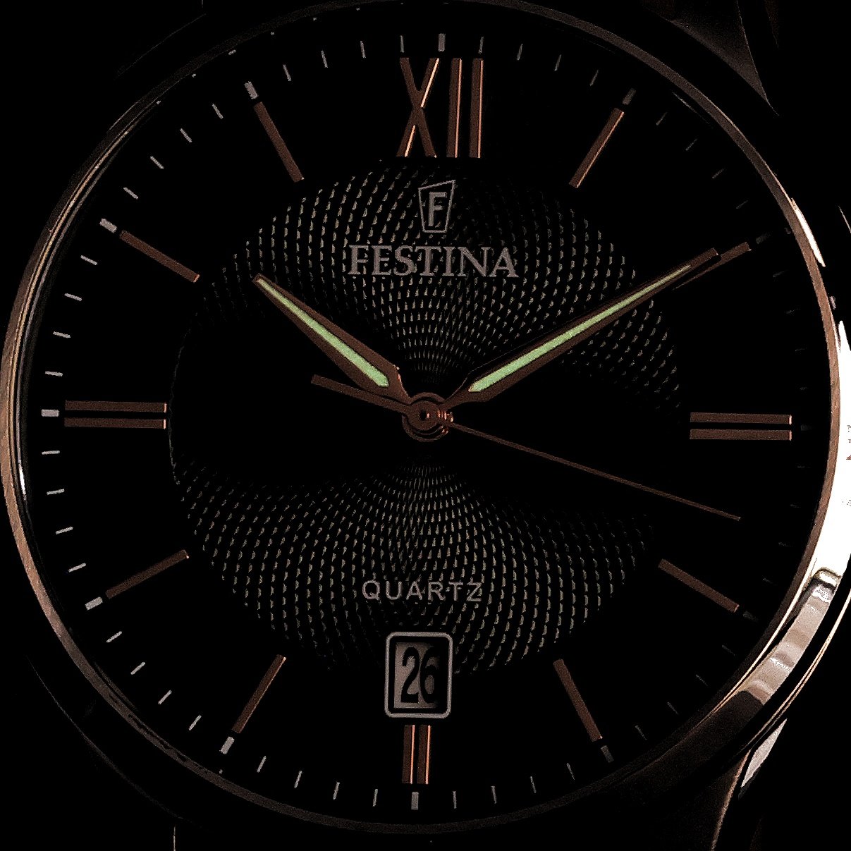 Festina F20426-8 zegarek srebrny klasyczny Classic pasek