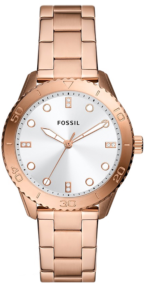 Fossil DAYLE BQ3886