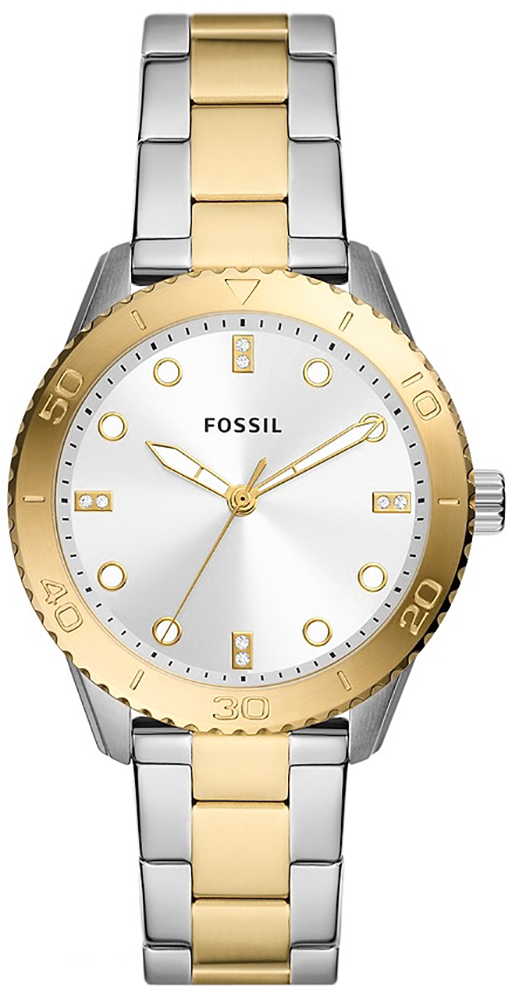 Fossil DAYLE BQ3888