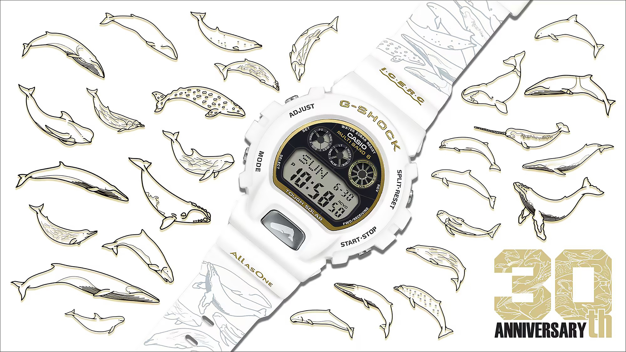 G-SHOCK GW-6904K-7JR zegarek sportowy G-SHOCK - miniatura 4