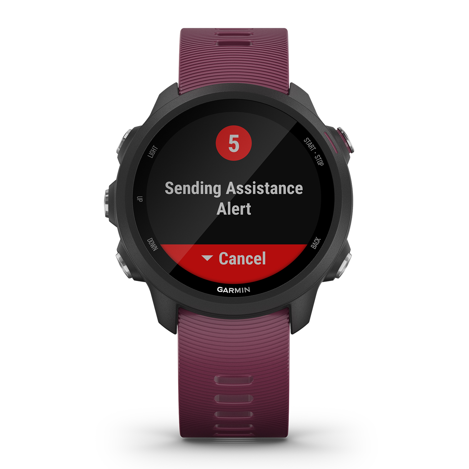 Garmin 010-02120-11 Forerunner 245 Berry zegarek sportowy Garmin Forerunner - miniatura 4