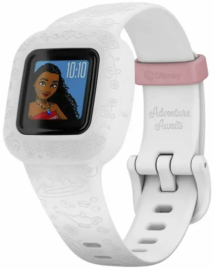 Garmin 010-02441-12