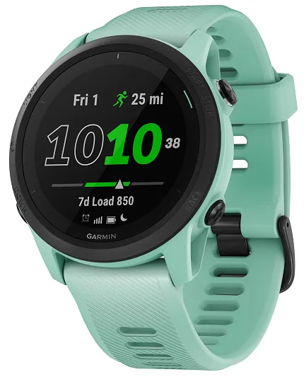 Garmin 010-02445-11 - zdjęcie 1