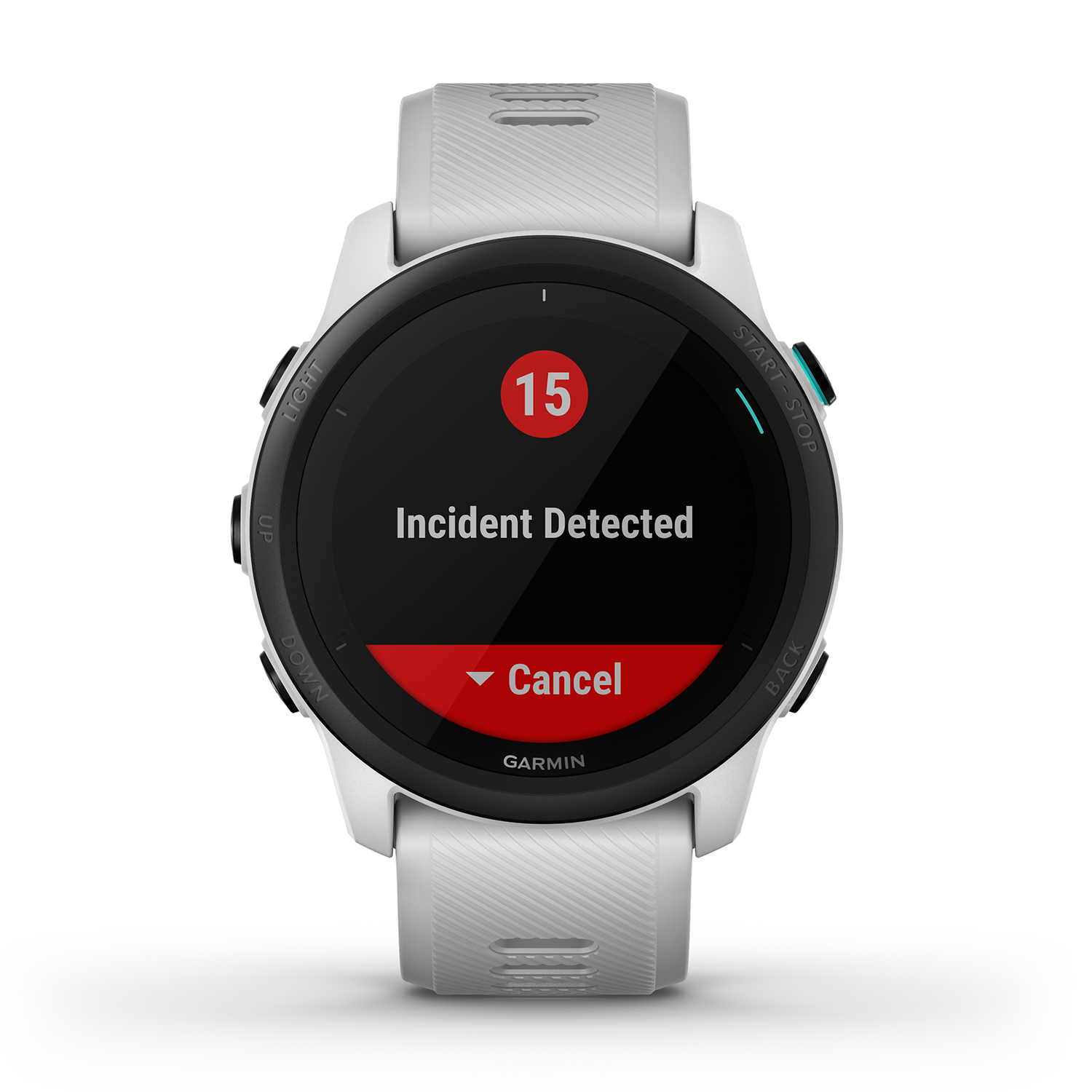 Garmin 010-02445-13 - miniatura 16