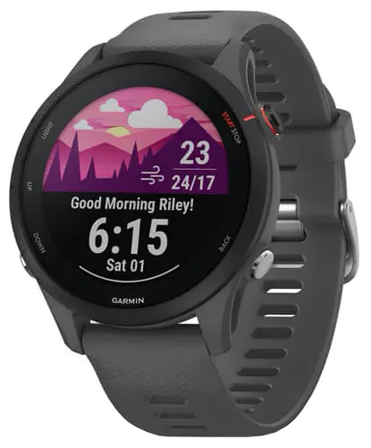 Garmin 010-02641-10