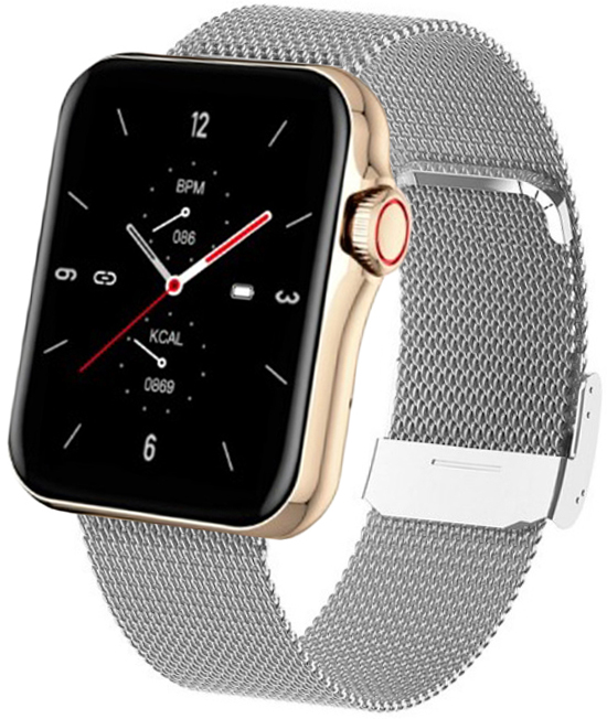 Hagen Smartwatch HC4 srebrny HC4.110.1411