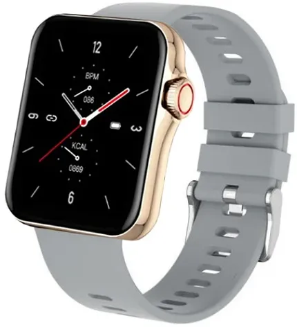 Hagen HC41105312 Smartwatch Smartwatch HC4 szary - zdjęcie 1
