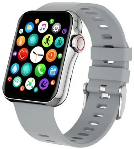 Hagen HC41115312 Smartwatch Smartwatch HC4 szary - zdjęcie 1